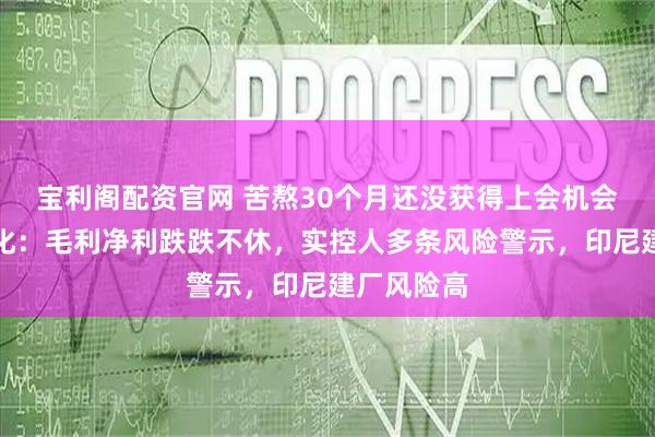 宝利阁配资官网 苦熬30个月还没获得上会机会的阳光焦化：毛利净利跌跌不休，实控人多条风险警示，印尼建厂风险高