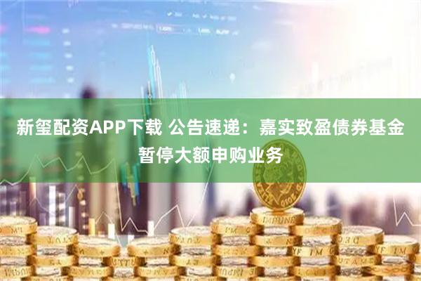 新玺配资APP下载 公告速递：嘉实致盈债券基金暂停大额申购业务