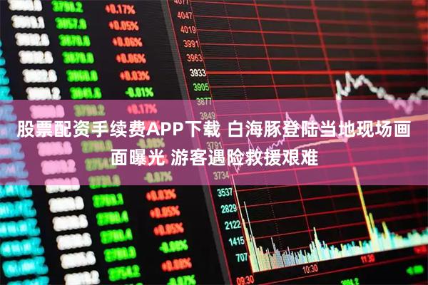 股票配资手续费APP下载 白海豚登陆当地现场画面曝光 游客遇险救援艰难